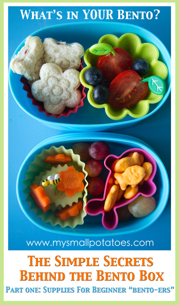 Easy Fruit Bento Box for Kids